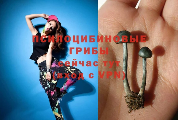ешки Елизово