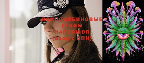ешки Елизово